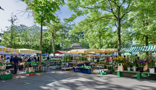 Markt vs. Online-Shopping